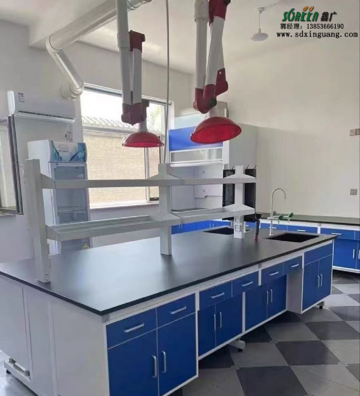 濰坊實驗室家具萬向罩PP吸氣罩抽氣罩