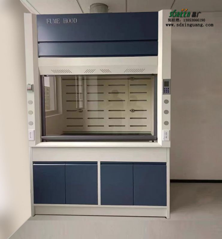 山東實驗室家具實驗臺邊臺通風(fēng)柜廠家供應(yīng)
