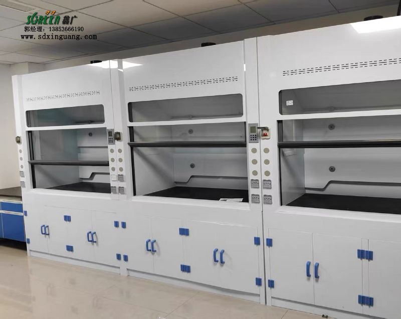 山東pp通風(fēng)櫥供應(yīng) 實驗臺通風(fēng)柜 通風(fēng)柜廠家