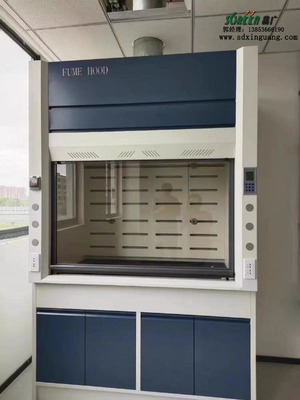 山東通風(fēng)柜廠家全鋼通風(fēng)柜實驗室通風(fēng)櫥柜供應(yīng)