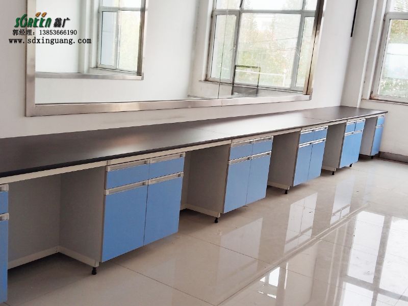 濰坊實驗室實驗臺操作臺化驗室通風櫥柜廠家