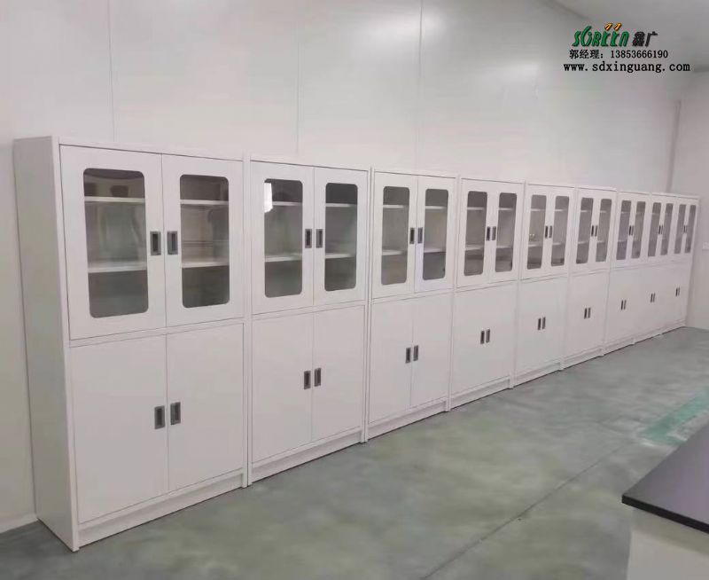 山東實(shí)驗(yàn)臺(tái)廠家全鋼試劑柜實(shí)驗(yàn)室器皿柜