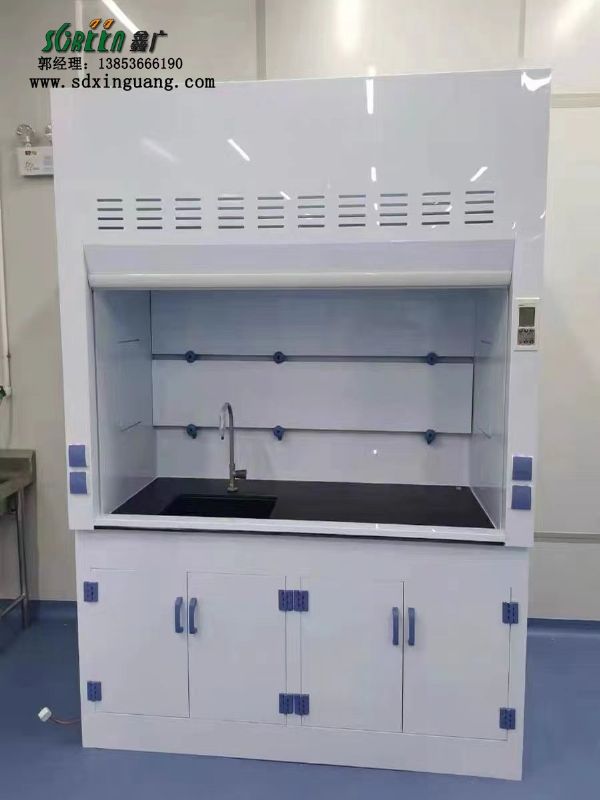 山東實驗室防爆pp通風(fēng)柜通風(fēng)系統(tǒng)排風(fēng)柜