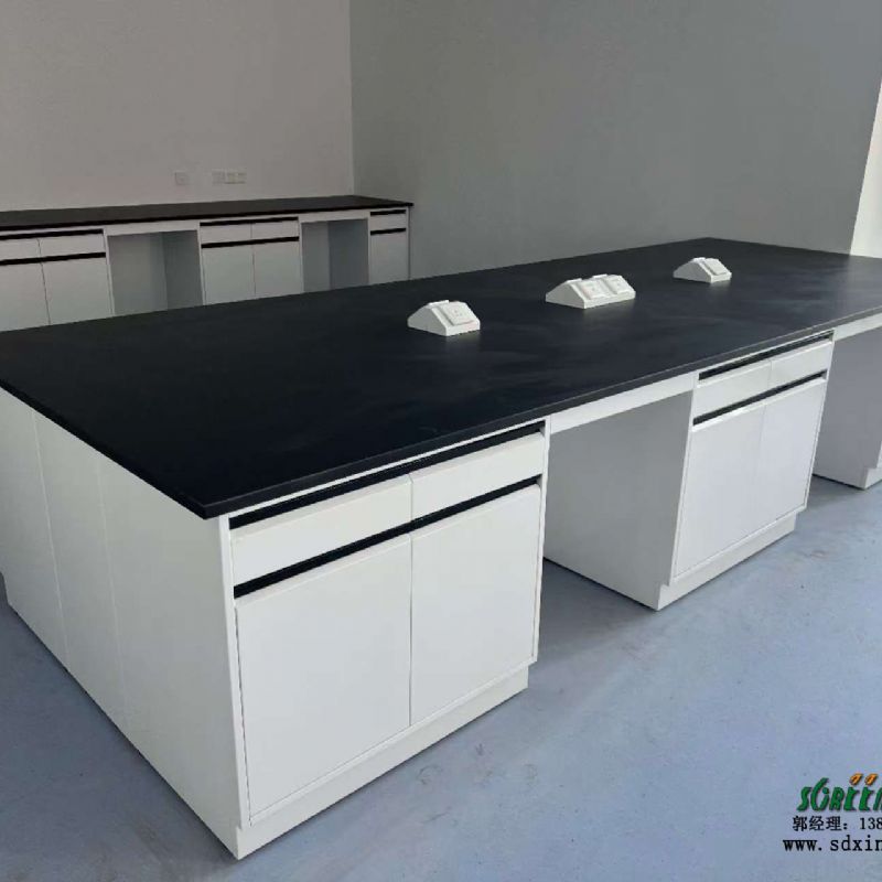 山東實驗臺廠家全鋼pp鋼木實驗室實驗臺供應(yīng)